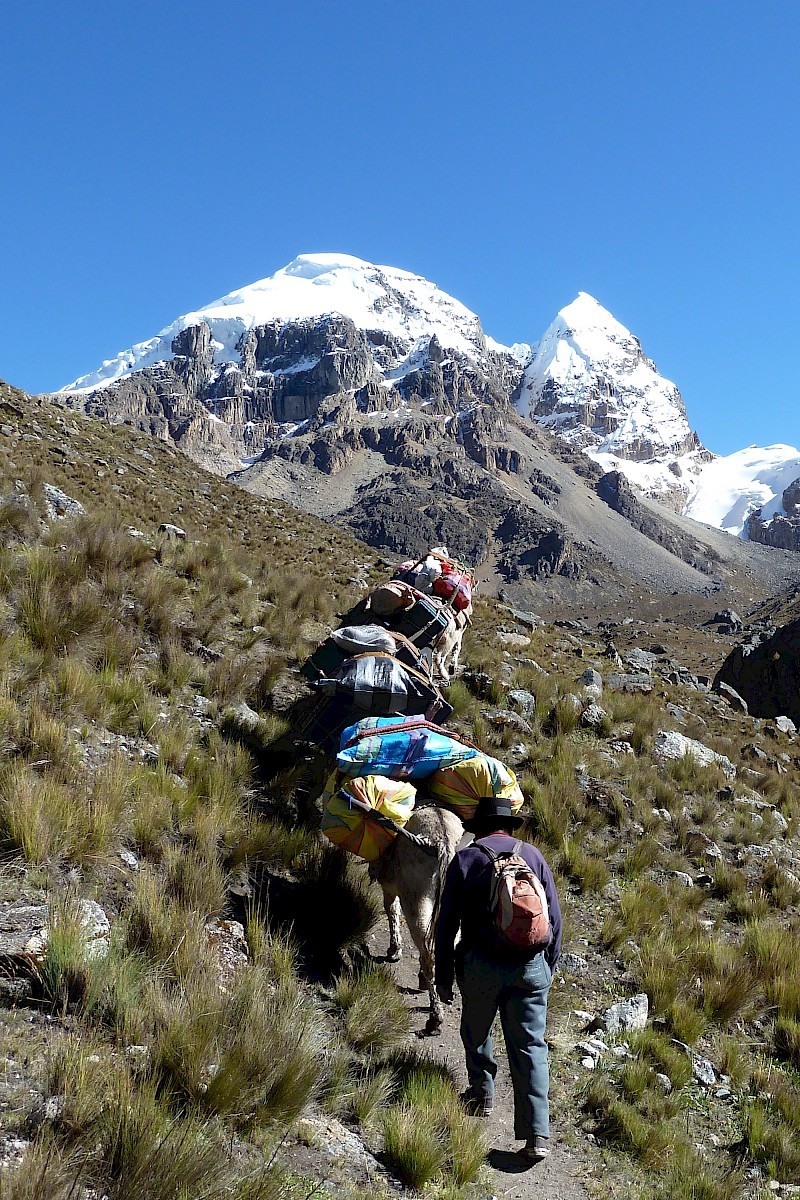 Trekking Cordillera Huayhuash, Peru